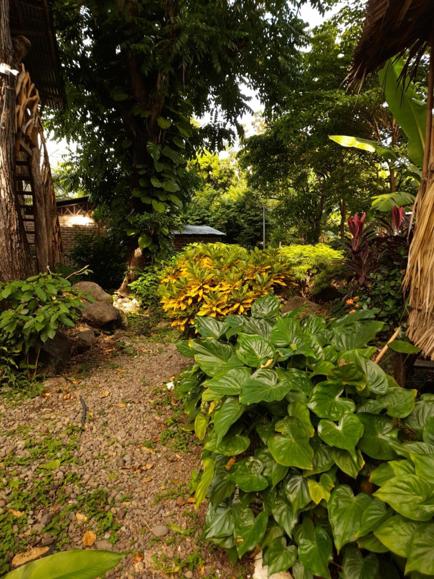 El Bamboo Cabins Balgue 외부 사진