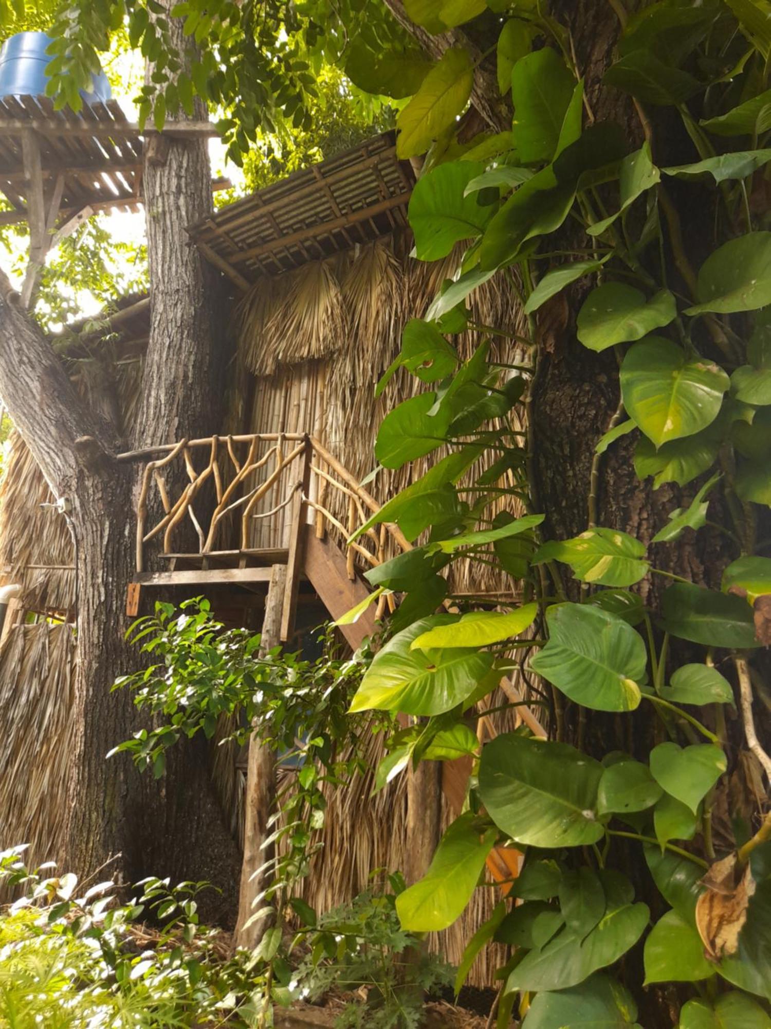 El Bamboo Cabins Balgue 외부 사진