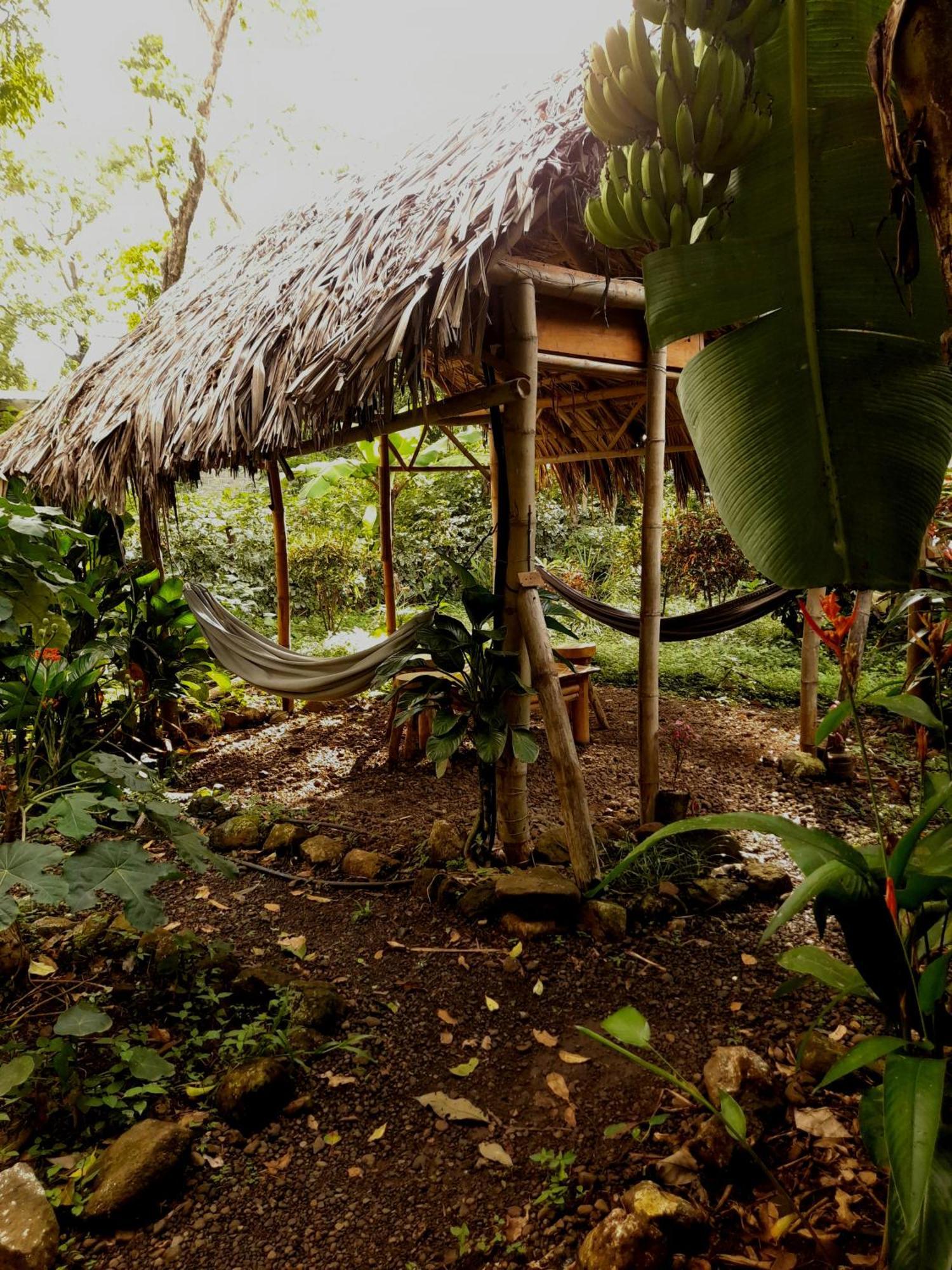El Bamboo Cabins Balgue 외부 사진