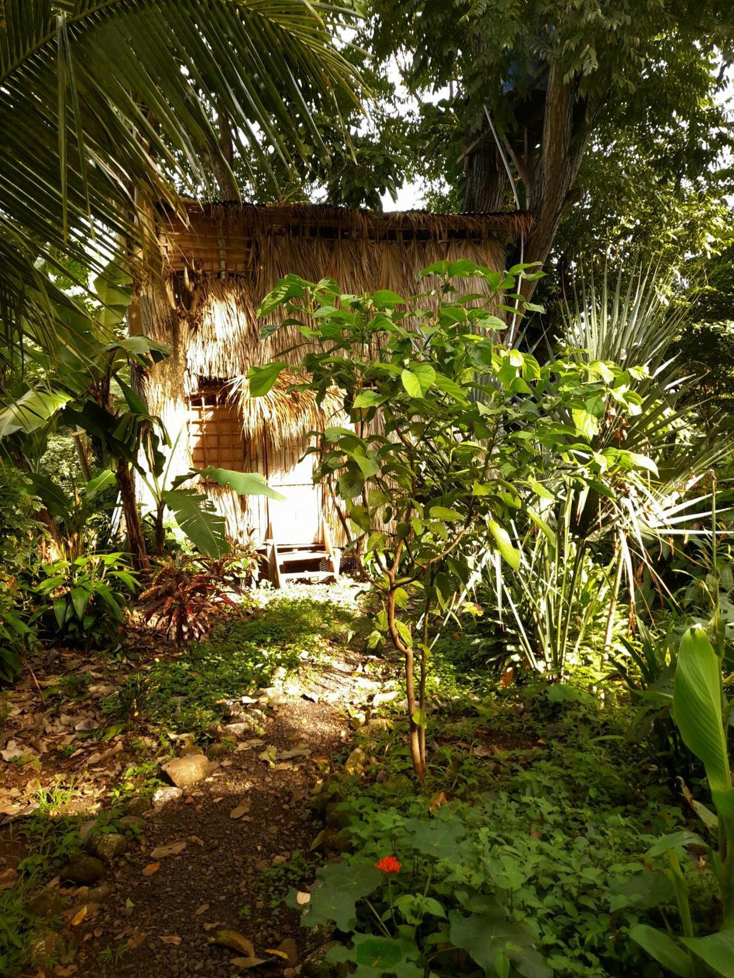 El Bamboo Cabins Balgue 외부 사진