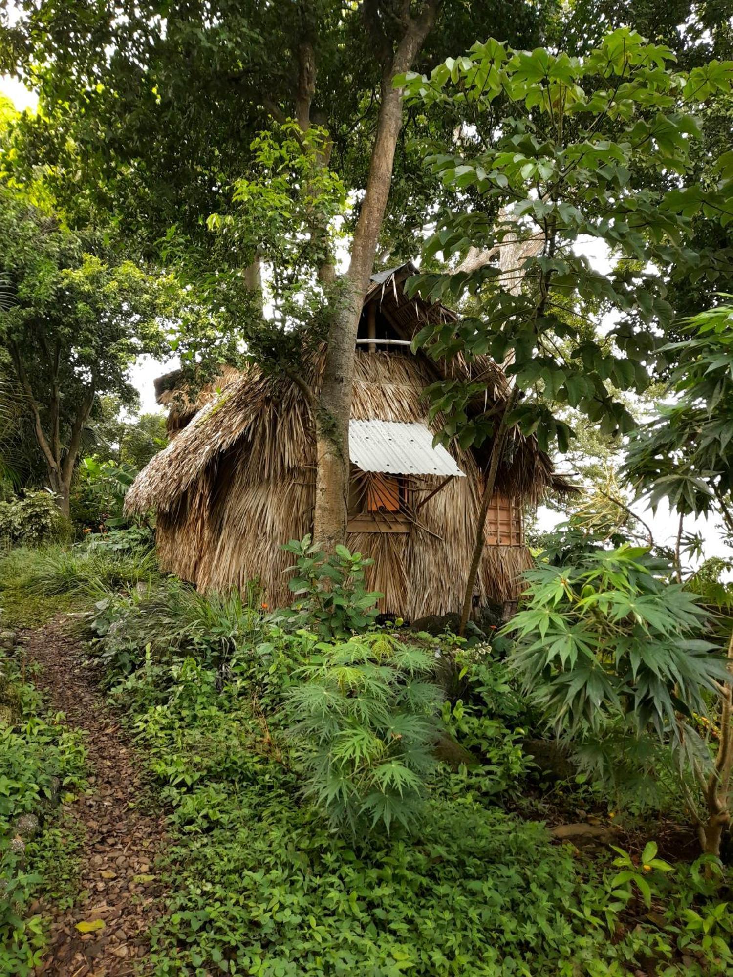 El Bamboo Cabins Balgue 외부 사진